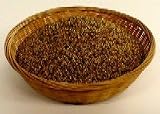 Organic Sprouting Seeds Crimson Clover 16 Ounces