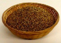 Organic Sprouting Seeds Crimson Clover 16 Ounces by The Sprout House