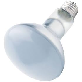 WESTINGHOUSE LIGHTING CORP #36402 75W Plant Speciality Bulb by Westinghouse