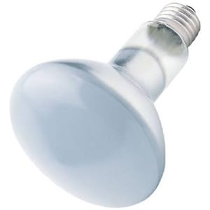 WESTINGHOUSE LIGHTING CORP #36402 75W Plant Speciality Bulb by Westinghouse