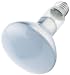 WESTINGHOUSE LIGHTING CORP #36402 75W Plant Speciality Bulb WESTINGHOUSE LIGHTING CORP #36402 75W Plant Speciality Bulb