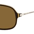Carrera Cool/S Adult Navigator Full Rim Polarized Lifestyle Sunglasses - Brown Havana/Gold/Brown