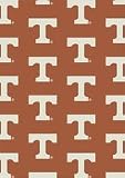Tennessee Volunteers 5 4 x 7 8 Team Repeat Area Rug