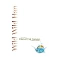 International Business (3rd Edition)