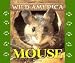 Wild America - Mouse (Wild America)