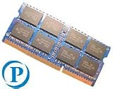 Princeton Apple Memory 2GB DDR3 1066 SODIMM for MacBook Pro / iMac / Mac Mini