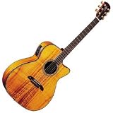 MD90 Acoustic Guitar