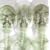 Supergrass