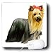 yorkshire_terrier45yorkshire terrier - Dogs Yorkshire Terrier Yorkshire Terrier Mouse Pads