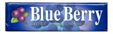 Lotte - Blue Berry Chewing Gum