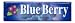 Lotte - Blue Berry Chewing Gum