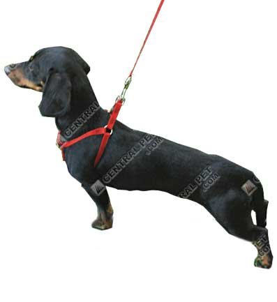 Harness Comfort Wrap 10-16 in - Green