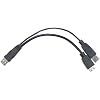 Delock USB Power Adapter Kabel 2xUSB