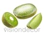 Faux Kiwi Fruit Wedges w/ Header Card 3 pc