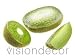 Faux Kiwi Fruit Wedges w/ Header Card 3 pc