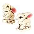 Bunny Rabbit Salt and Pepper Shakers Set