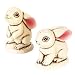 Bunny Rabbit Salt and Pepper Shakers Set