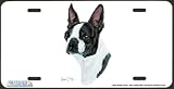 Black Boston Terrier-Dog Art-License Plate Car Auto Tag by Robert J May from Airstrike