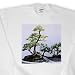 Trees - Bonsai Tree - Sweatshirts