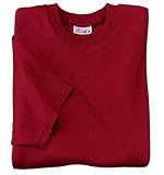 NEW Hanes Beefy-T - Born To Be Worn 100% Cotton T-Shirt Cardinal-S
