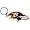 Baltimore Ravens