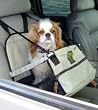 Pet Lookout Car Booster Seat - Safe and Comfortable - FAUX LEATHER - TAN