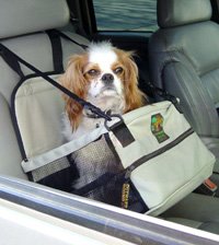 Pet Lookout Car Booster Seat - Safe and Comfortable - FAUX LEATHER - TAN
