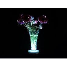 Fortune Products LB-RGBW-6 Super Bright 40 LED Light Base, 6-1/8" Diameter x 1-1/8" Height, Multi-Color
