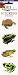 Frogs (Tattoo Strips)