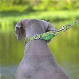 Lupine 1 COMBO Dog Collar-15-22-Surf Pup Pattern