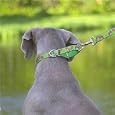 Lupine 1" COMBO Dog Collar-15"-22"-Surf Pup Pattern