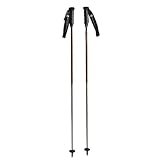 Rossignol G20 Alpine Ski Poles (For Men)