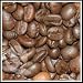 Coffee Bean Direct's Poor Man's Blend Coffee Beans - 5lb Bag