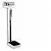 SSG Detecto #439 Physician Scale
