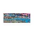Life Jigsaw Puzzle 3000pc