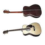 Dreadnaught Model Guitar (solid spruce top)