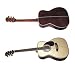 Dreadnaught Model Guitar (solid spruce top)