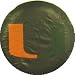 Miami of Florida University canes Ibis black tire cover, Size D10