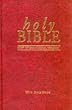 NIV Popular Bible: New International Version (Bible Niv)