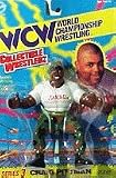 WCW Craig Pittman WWF WWE Wrestling FigureIMAGE