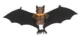 Fruit Bat 31.5