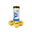 Dunlop Practice Balls (Case 24X), Dunlop, Balls, Tennis