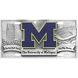 MICHIGAN WOLVERINES PEWTER CAR TAG/ LICENSE PLATE