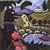 Wolves Hollow