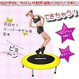 ジャンプアップリング（エクササイズマニュアル付き）640S