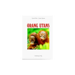Orang Utans: Die Waldmenschen von Sumatra und Borneo