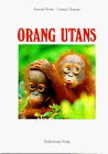 Orang Utans: Die Waldmenschen von Sumatra und Borneo