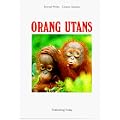 Orang Utans: Die Waldmenschen von Sumatra und Borneo