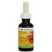 Health & Personal Care : Herbalife Kindermins Children's Vitamins - 29 Servings - Fruit Flavored Liquid Multivitamin Provides 11 Essential Vitamins Infants and Toddlers Need Every Day