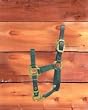 Foal Adjustable Halter with Leather Head Poll Hunter Green